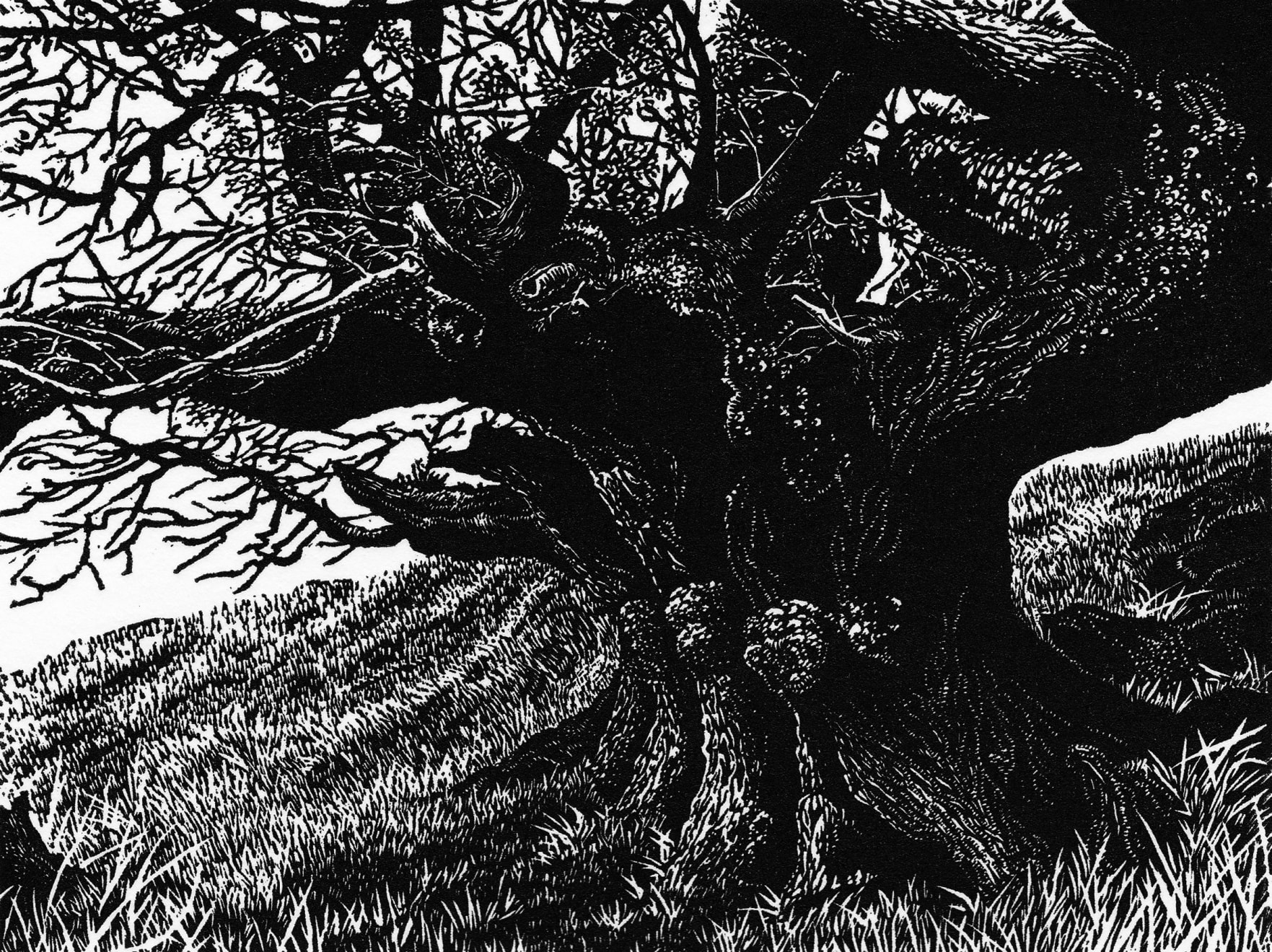 Blaze Cyan, The General - West , 2020