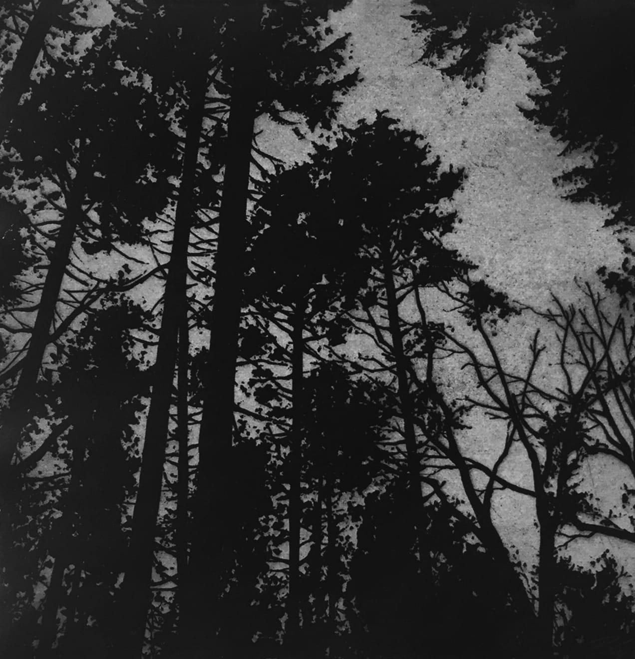 Blaze Cyan, Dark Falls, 2018