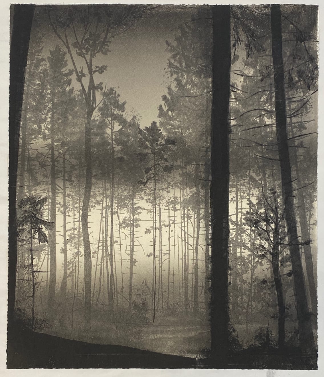 Fiona Fouhy, Lingering, 2023