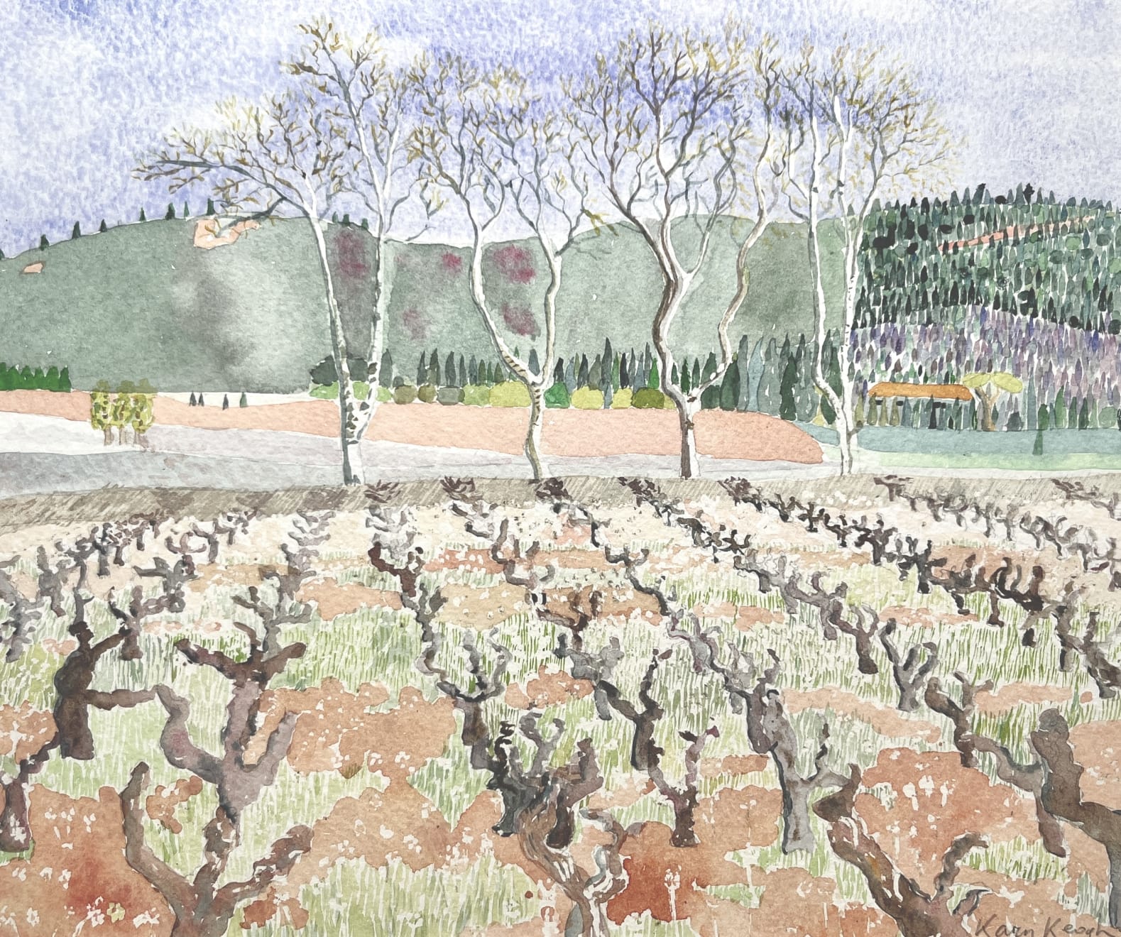 Karen Keogh, A walk through the vineyard