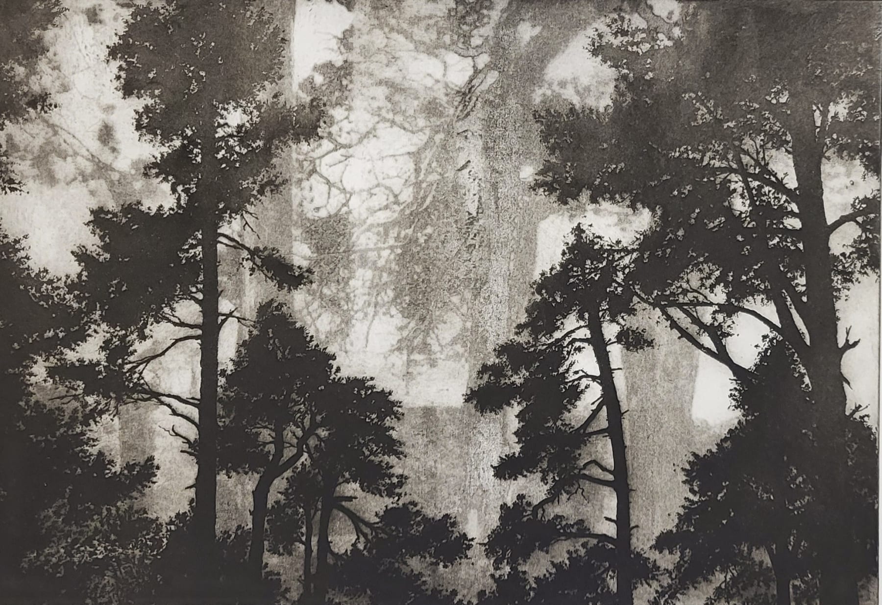 Blaze Cyan, Forest of Ghosts V, 2023