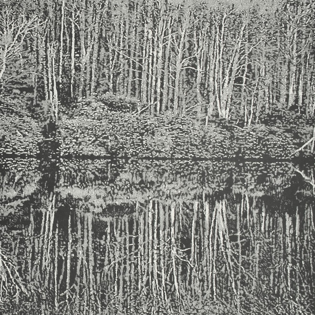 Trevor Price, Reflections VI, 2022