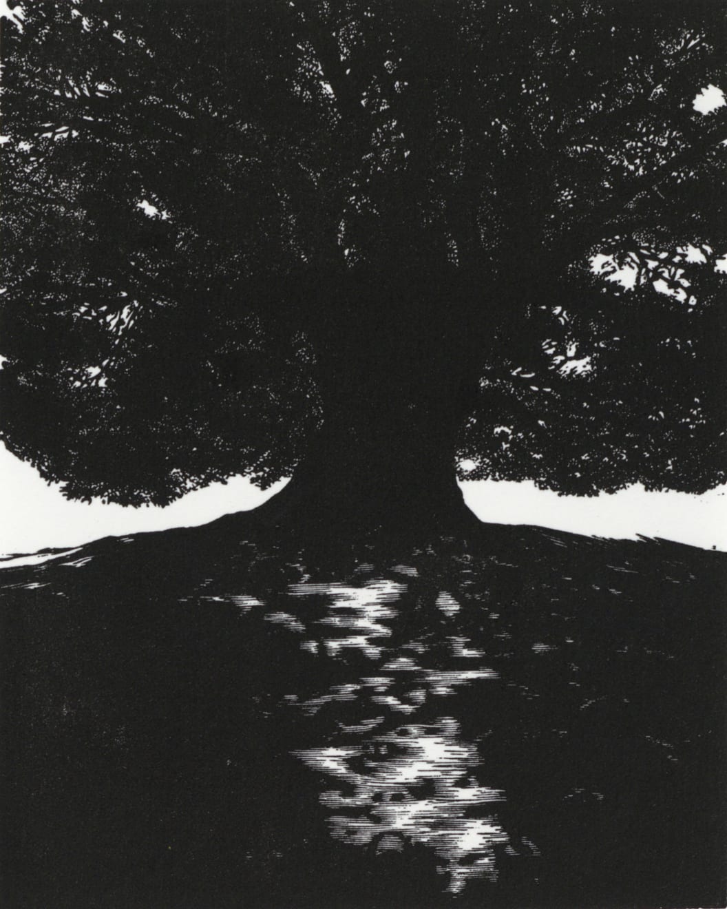 Blaze Cyan, The Oak at Petworth, 2023