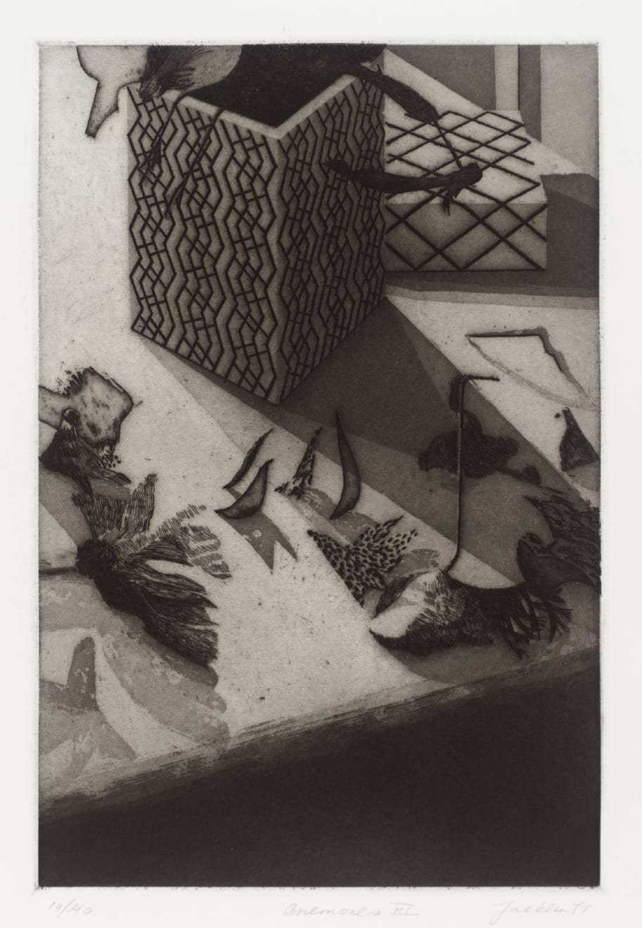 Bill Jacklin, Anemones Plate III, 1977