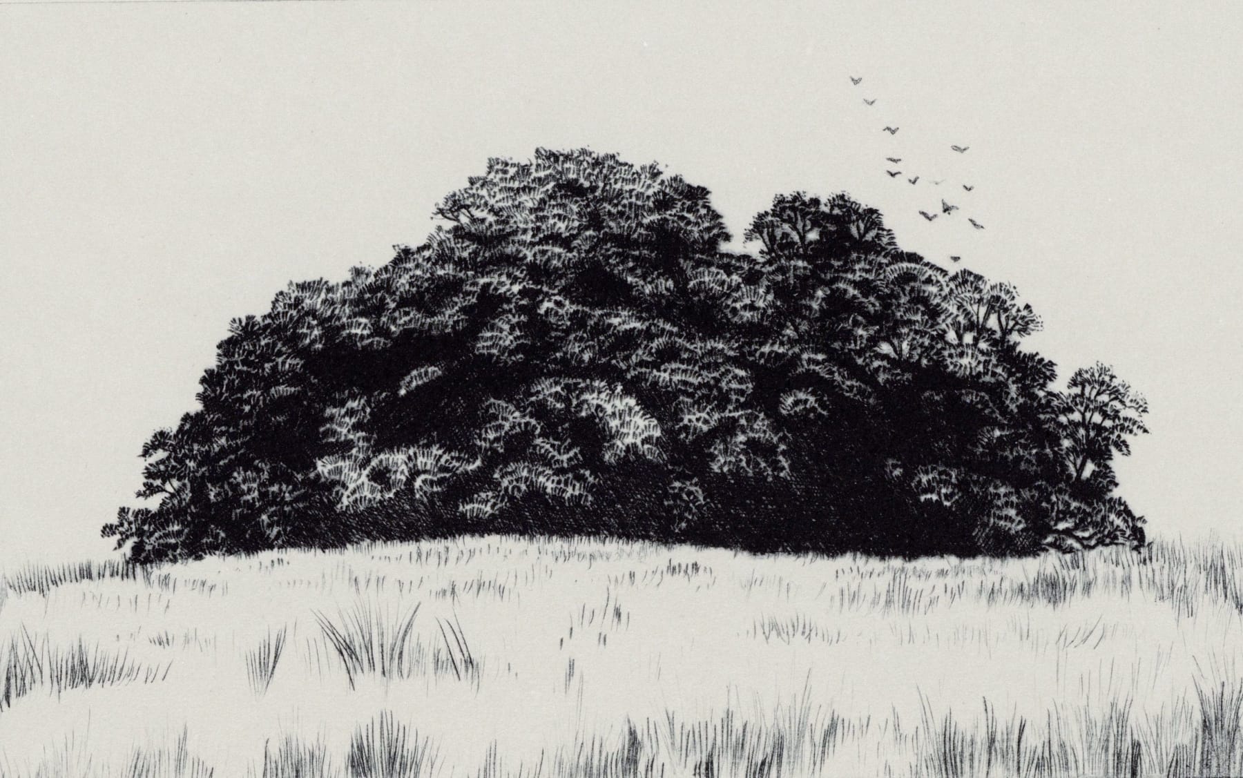 Blaze Cyan, Petworth Park V, 2023