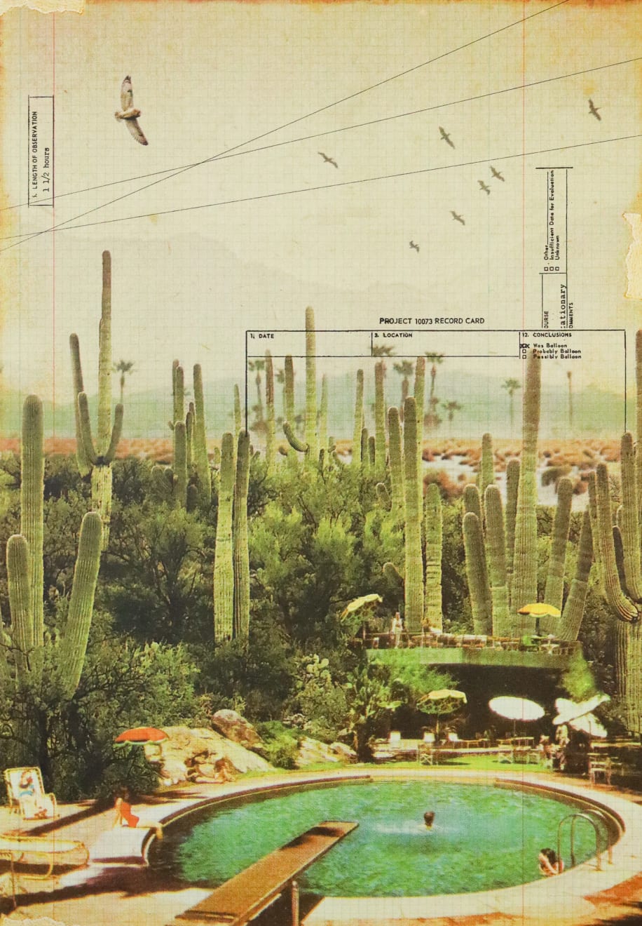 Maxine Gregson, At the Foot of the Cacti, 2025