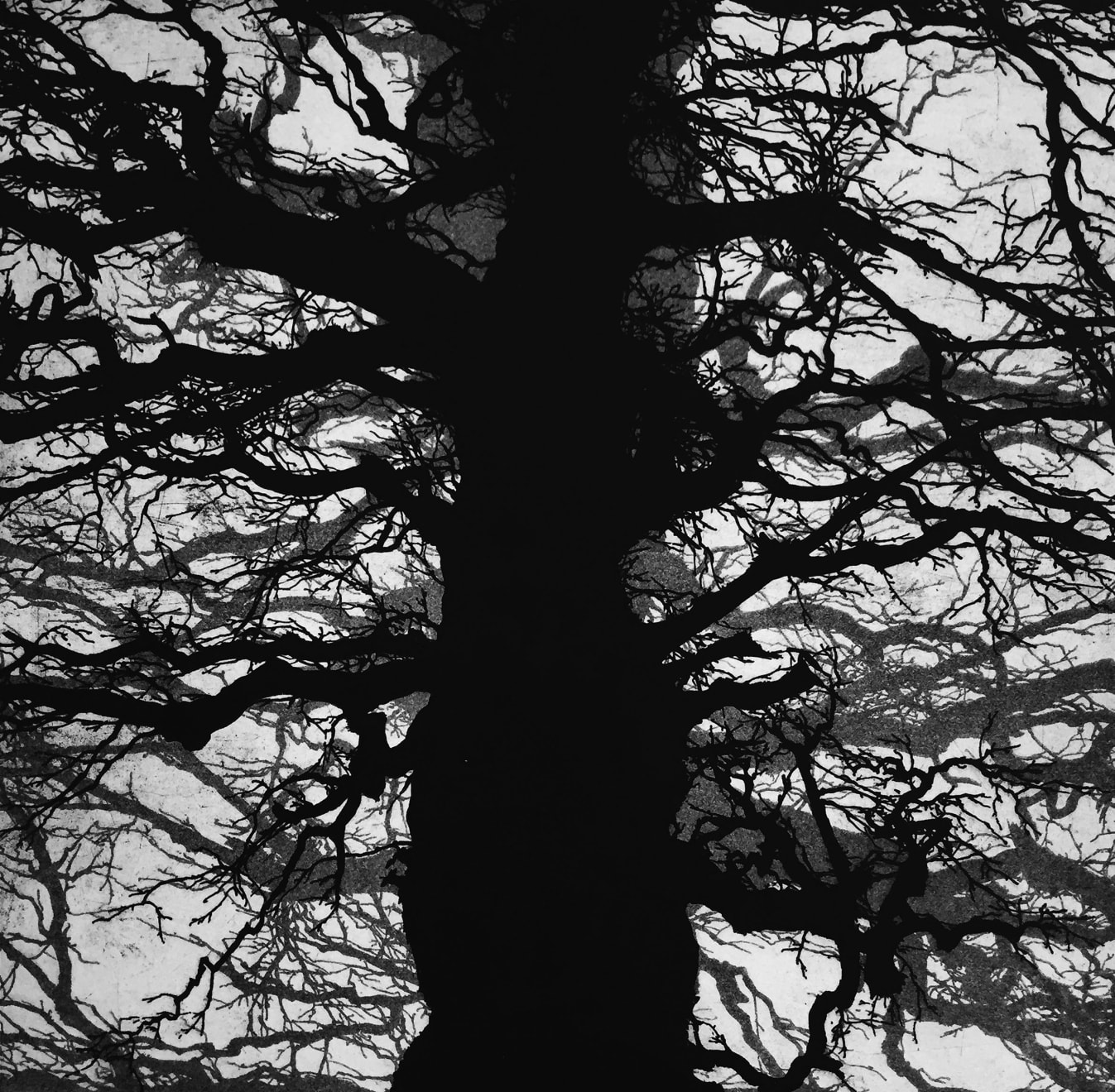 Blaze Cyan, Richmond Park IV, 2017