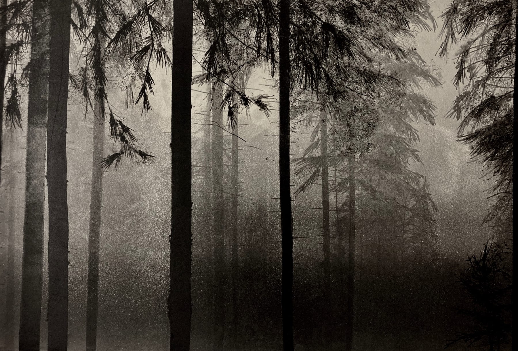 Fiona Fouhy, Recesses, 2022