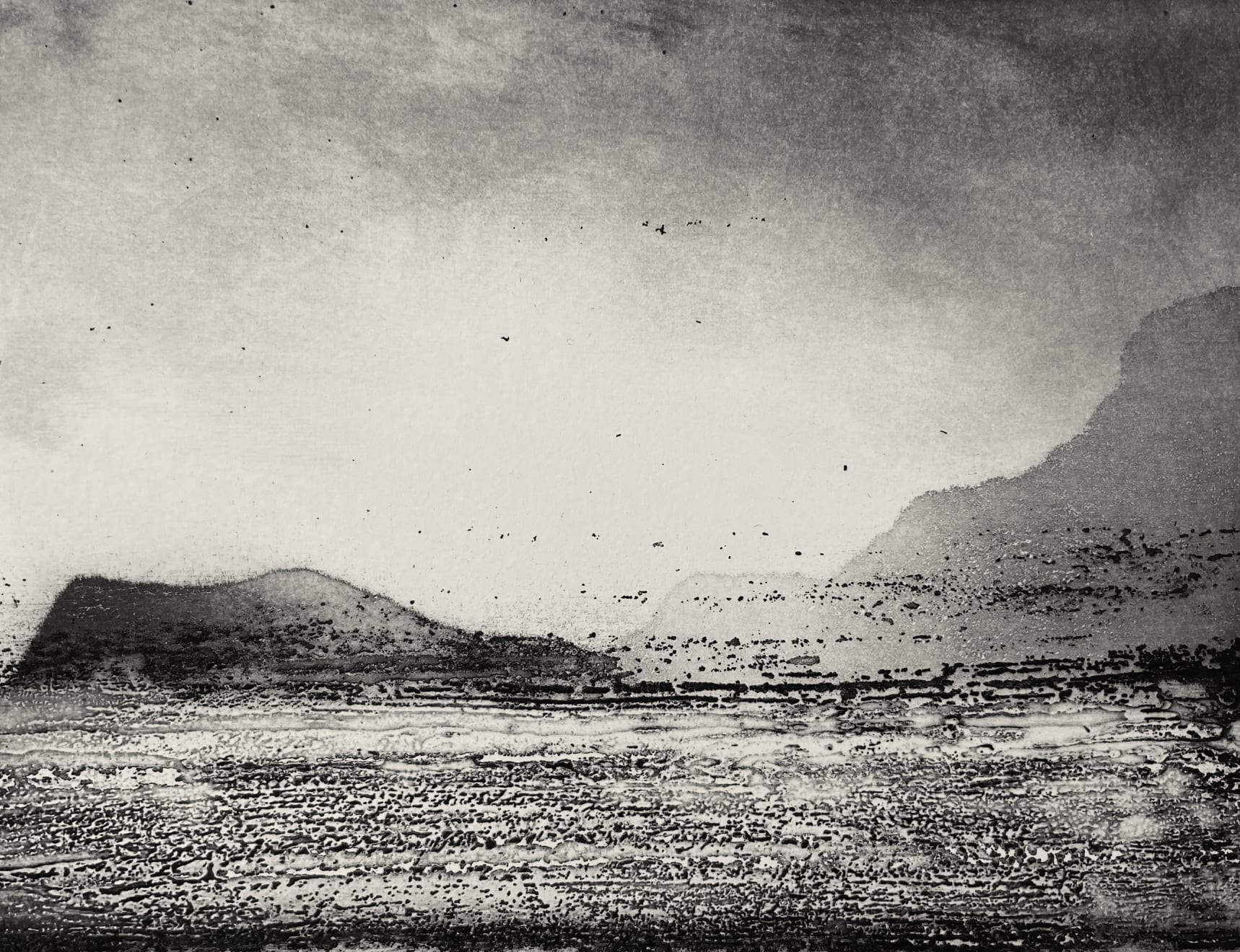 Jason Hicklin, Skomer Island IV, 2021