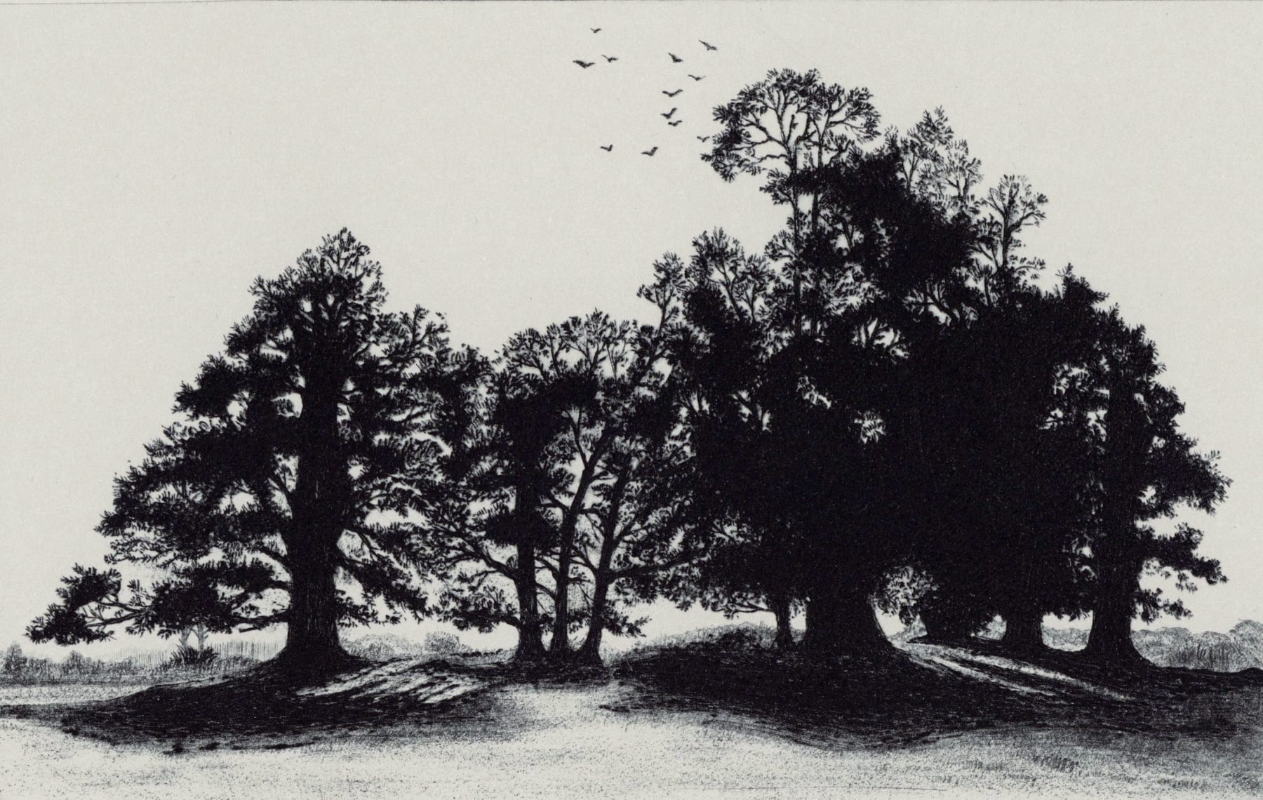 Blaze Cyan, Petworth Park VIII, 2023