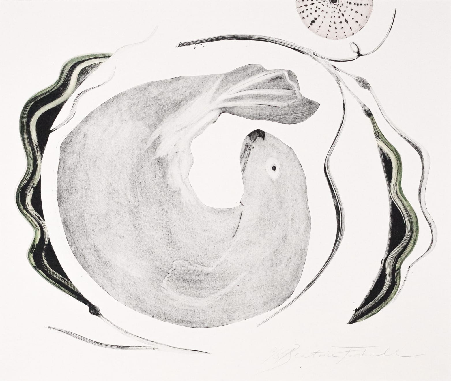 Beatrice Forshall, Sea Otter