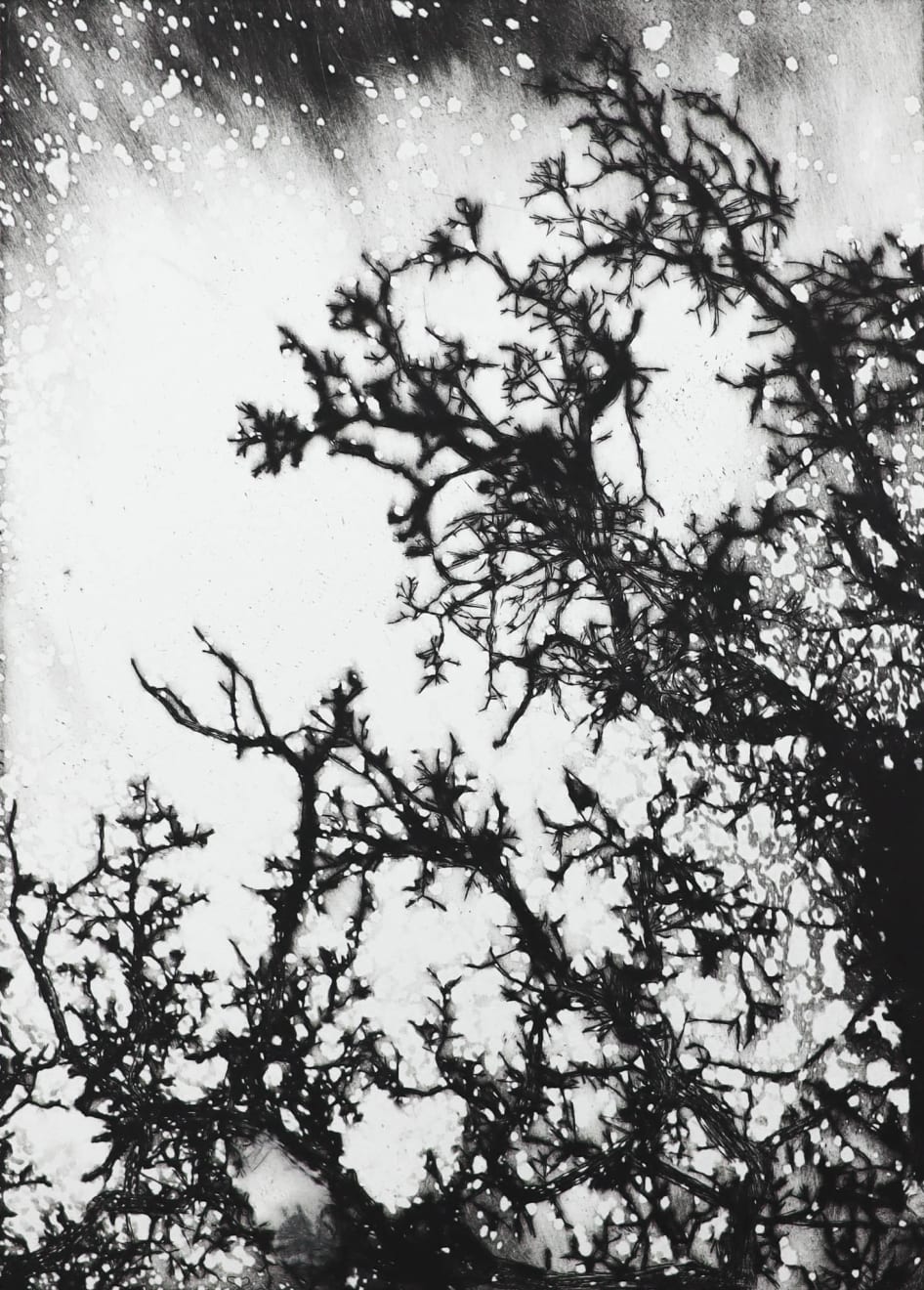 Edward Twohig, October, 2016