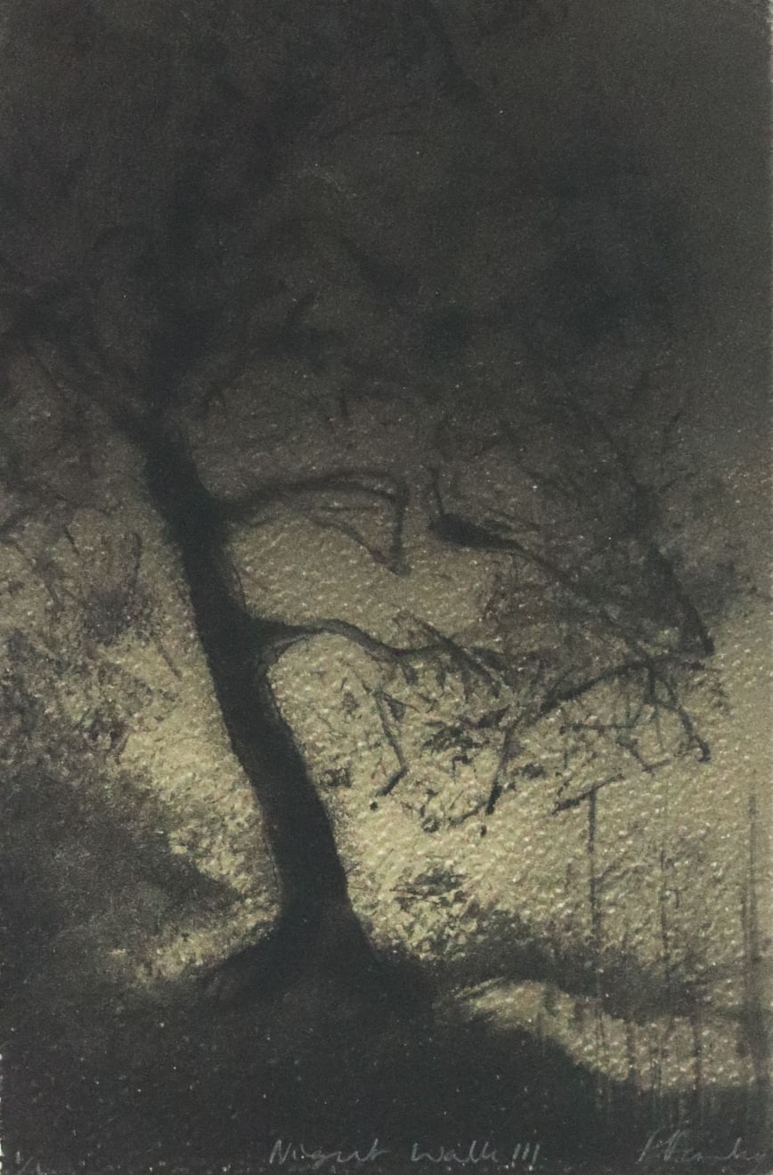 Fiona Fouhy, Night Walk III, 2024