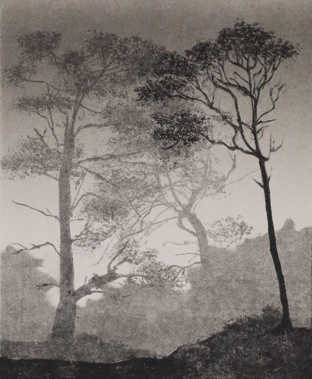Fiona Fouhy, Slow Ascent, 2024