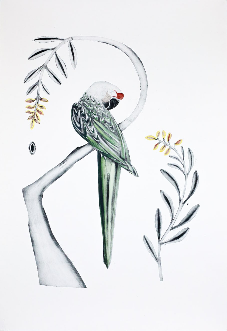 Beatrice Forshall, Great Green Macaw