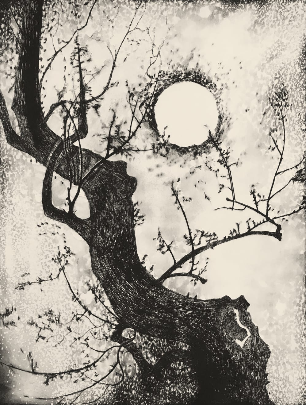 Edward Twohig, Super Moon 5, 2020