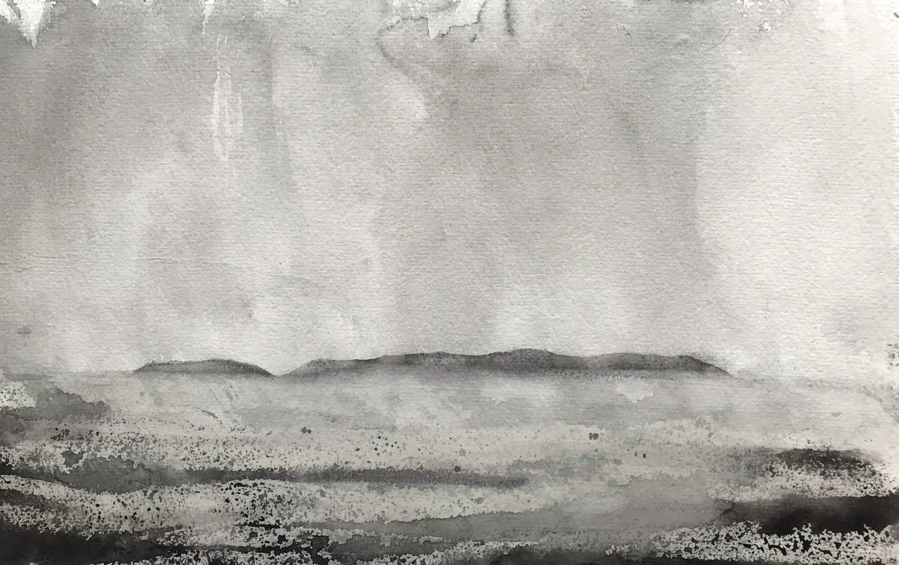 Jason Hicklin, Skomer Island, 2020