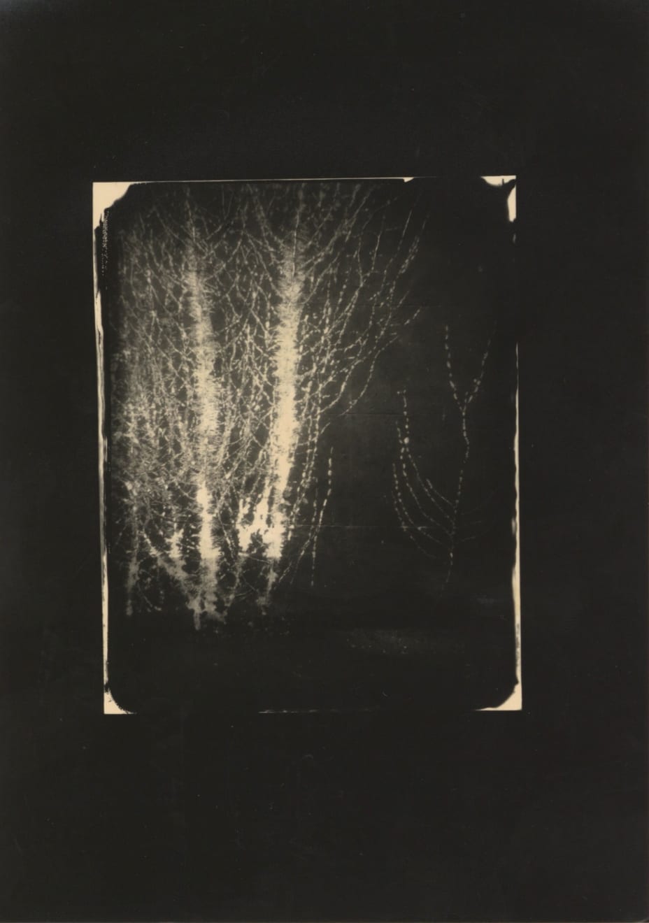 Christmas Secret Bid Auction 2024, LOT 68: Wayne Foskett - Depford