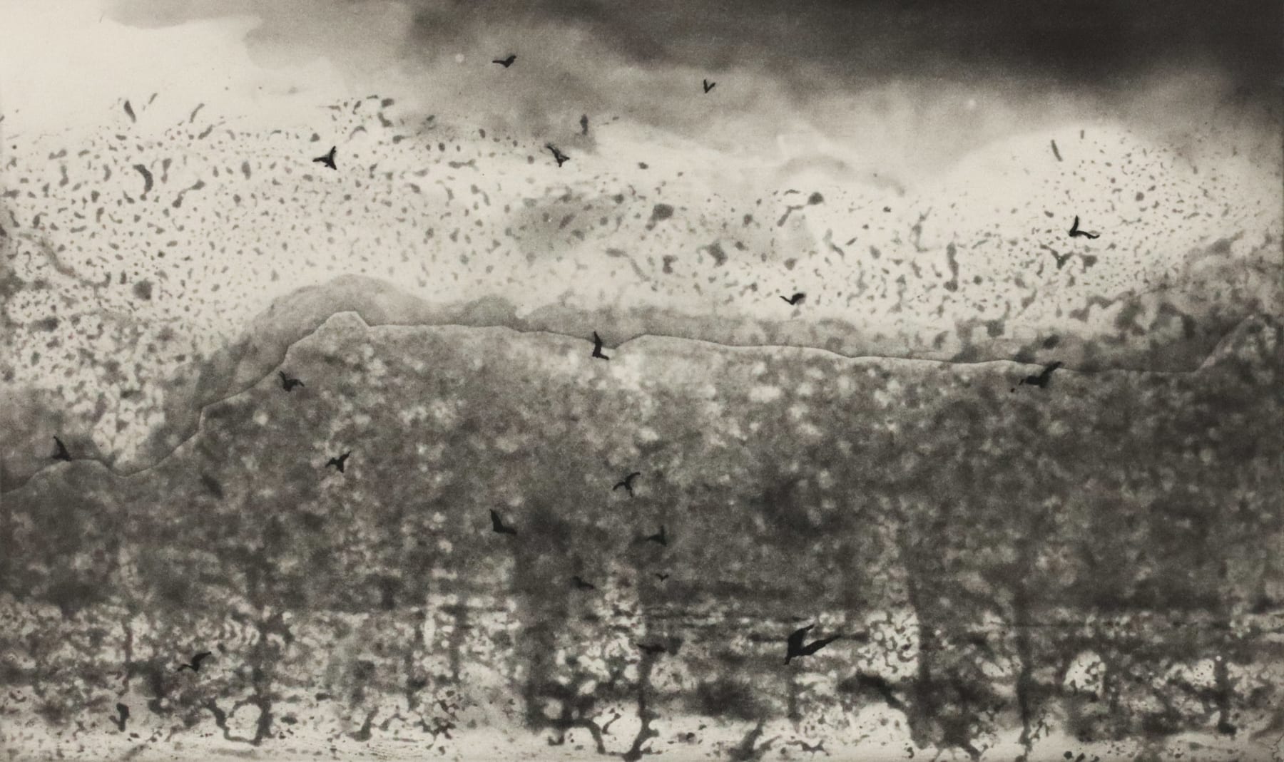 Norman Ackroyd, Arnamurchan, 2006