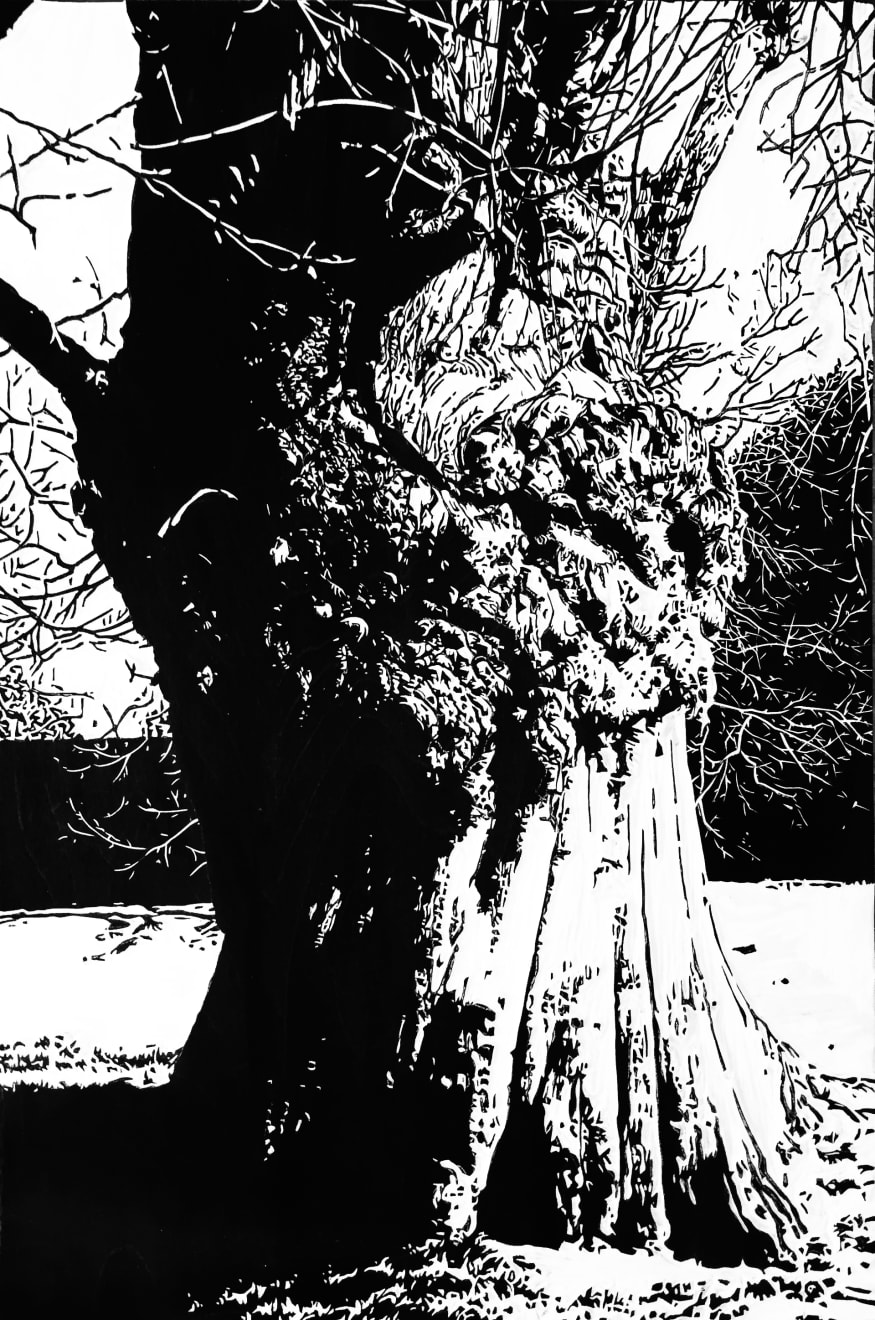 Blaze Cyan, Greenwich Park V, 2016