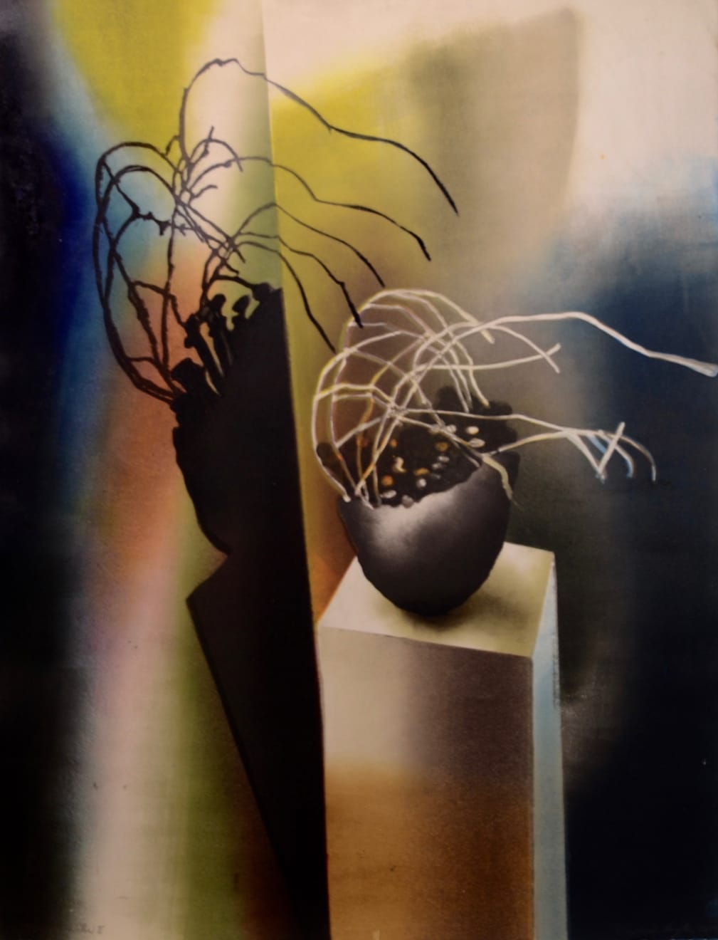 Sophie Layton, Still Life - Willow II, 2019