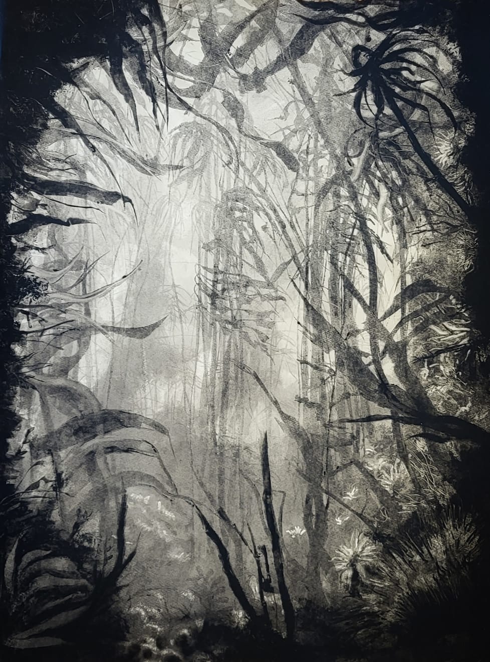 Fiona Fouhy, Shrouded Sanctuary, 2024