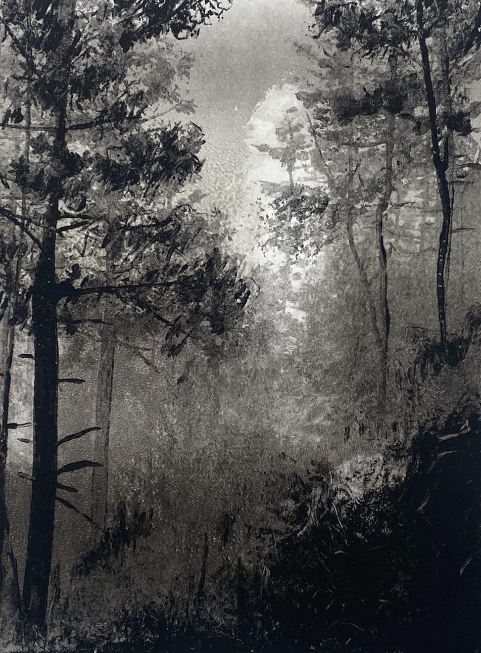 Fiona Fouhy, Weightless Approach, 2024