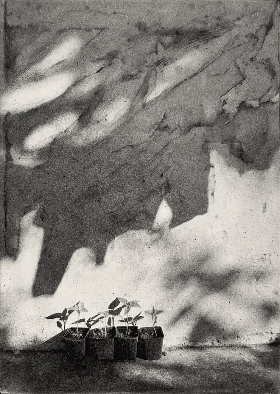 Lucy Bainbridge, Patience IV, 2022