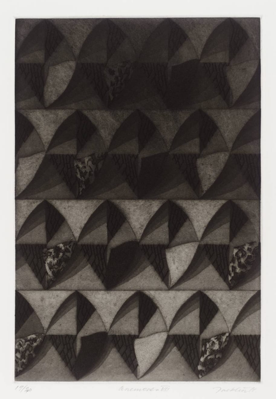 Bill Jacklin, Anemones Plate VII, 1977