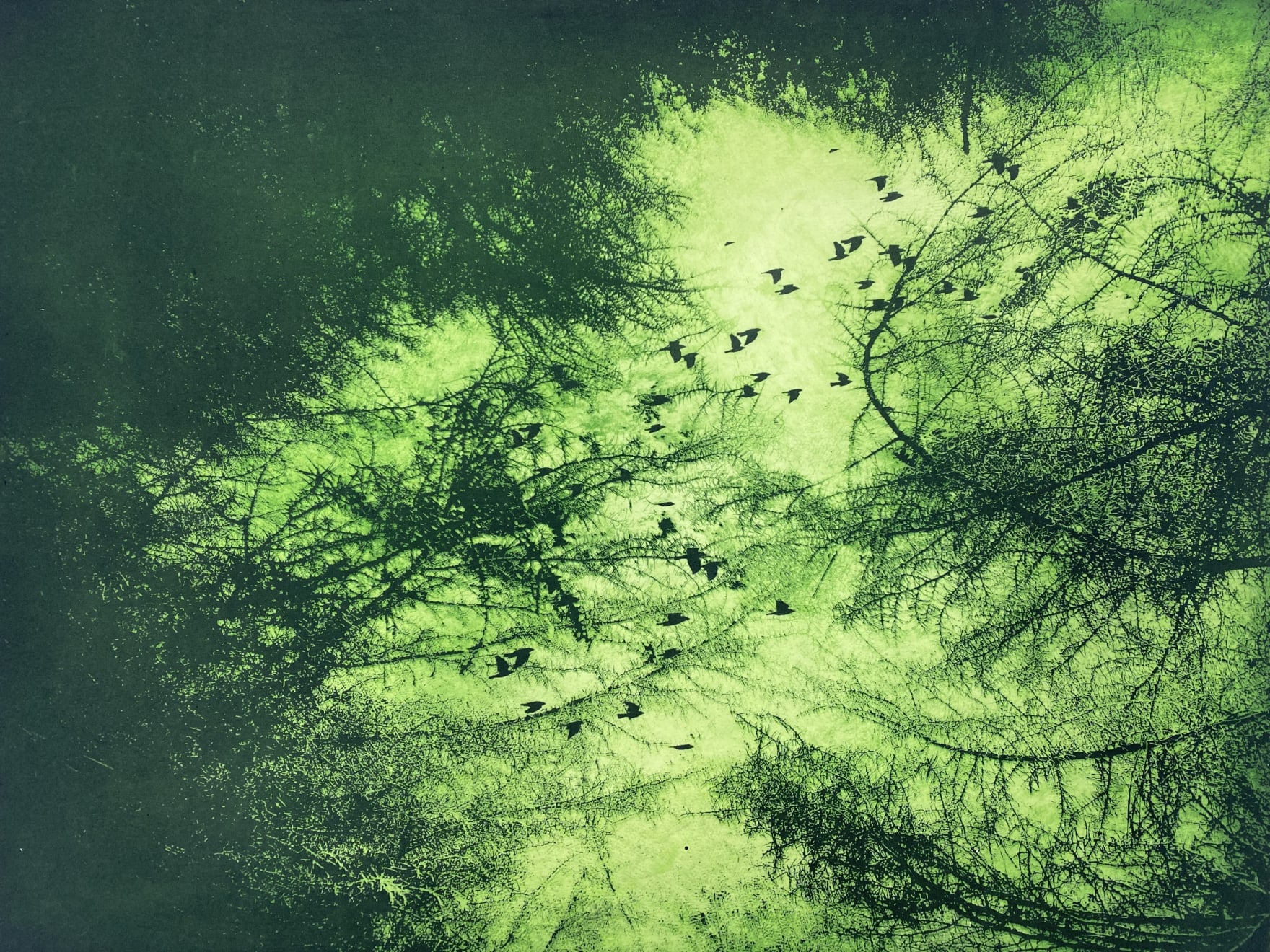 Rebecca Holmes, Canopy, 2021