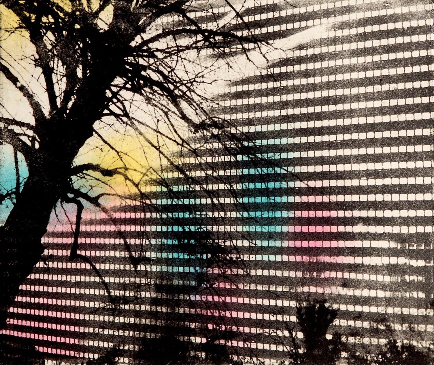 Sophie Layton, Journey, 2016