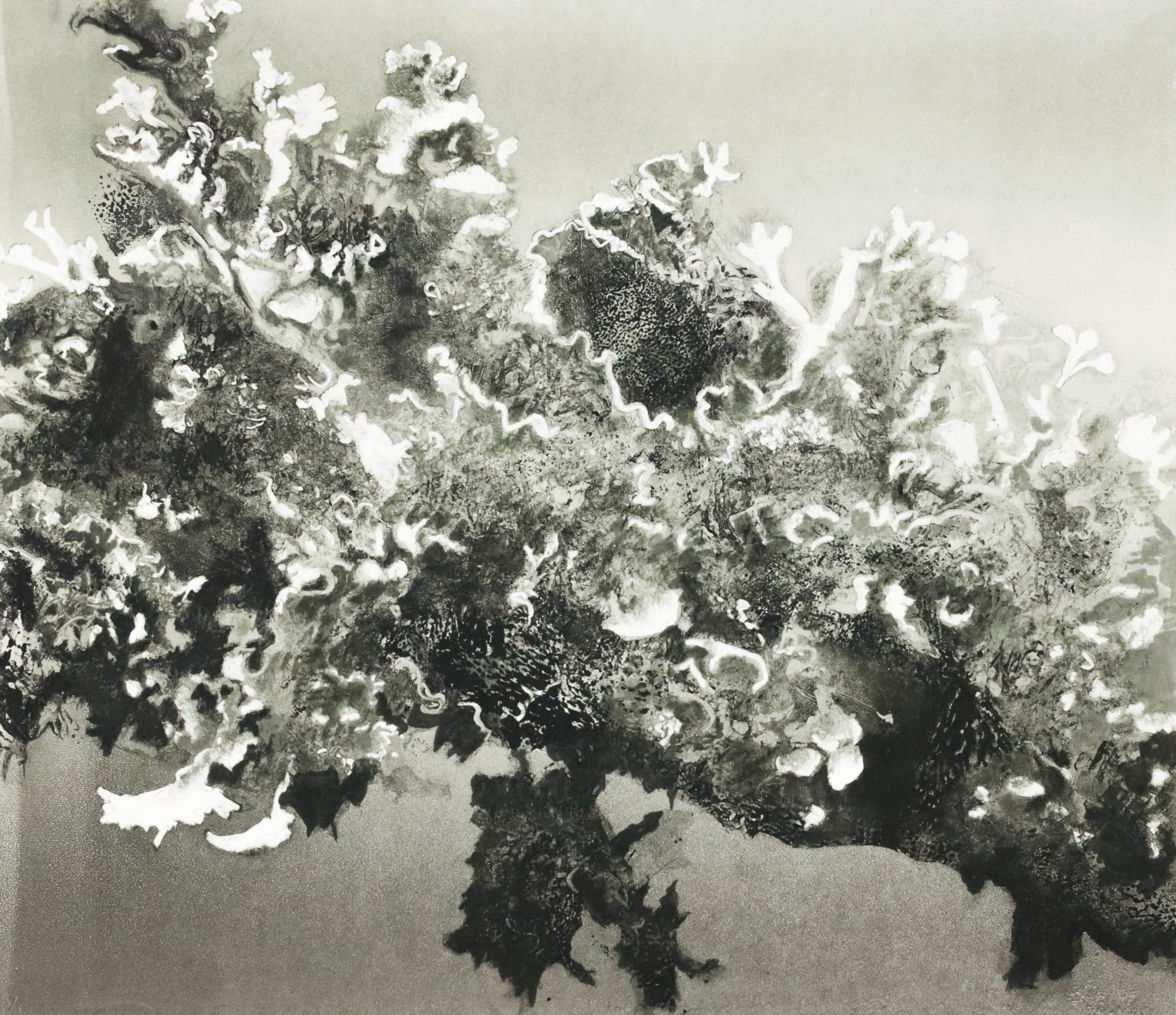 Fiona Fouhy, Utter Profusion, 2024