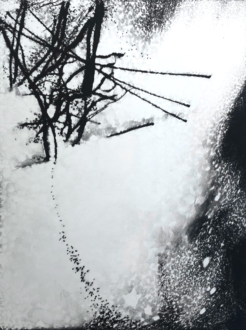 Summer Auction 2021, LOT 169: Edward Twohig - Plate LIV from ‘Light from the Super Moon’, 2015