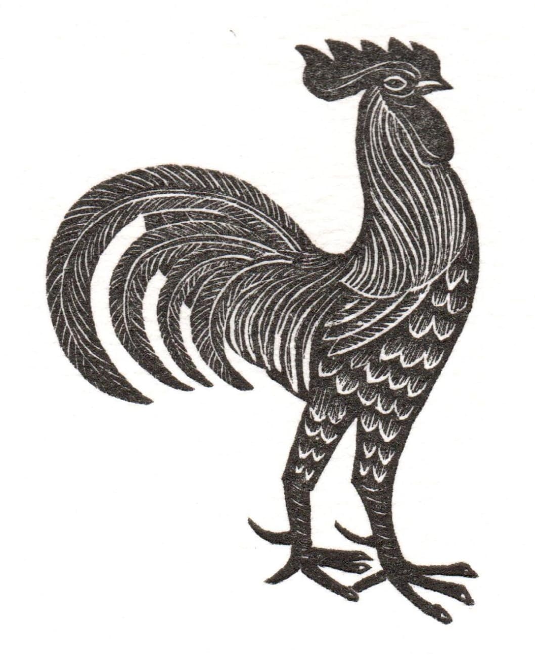 David Jones, Cockeral