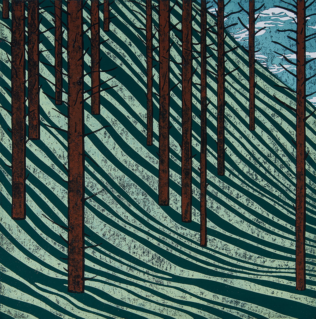 Paul Hogg, Shadows Falling in a Wood 4, 2021