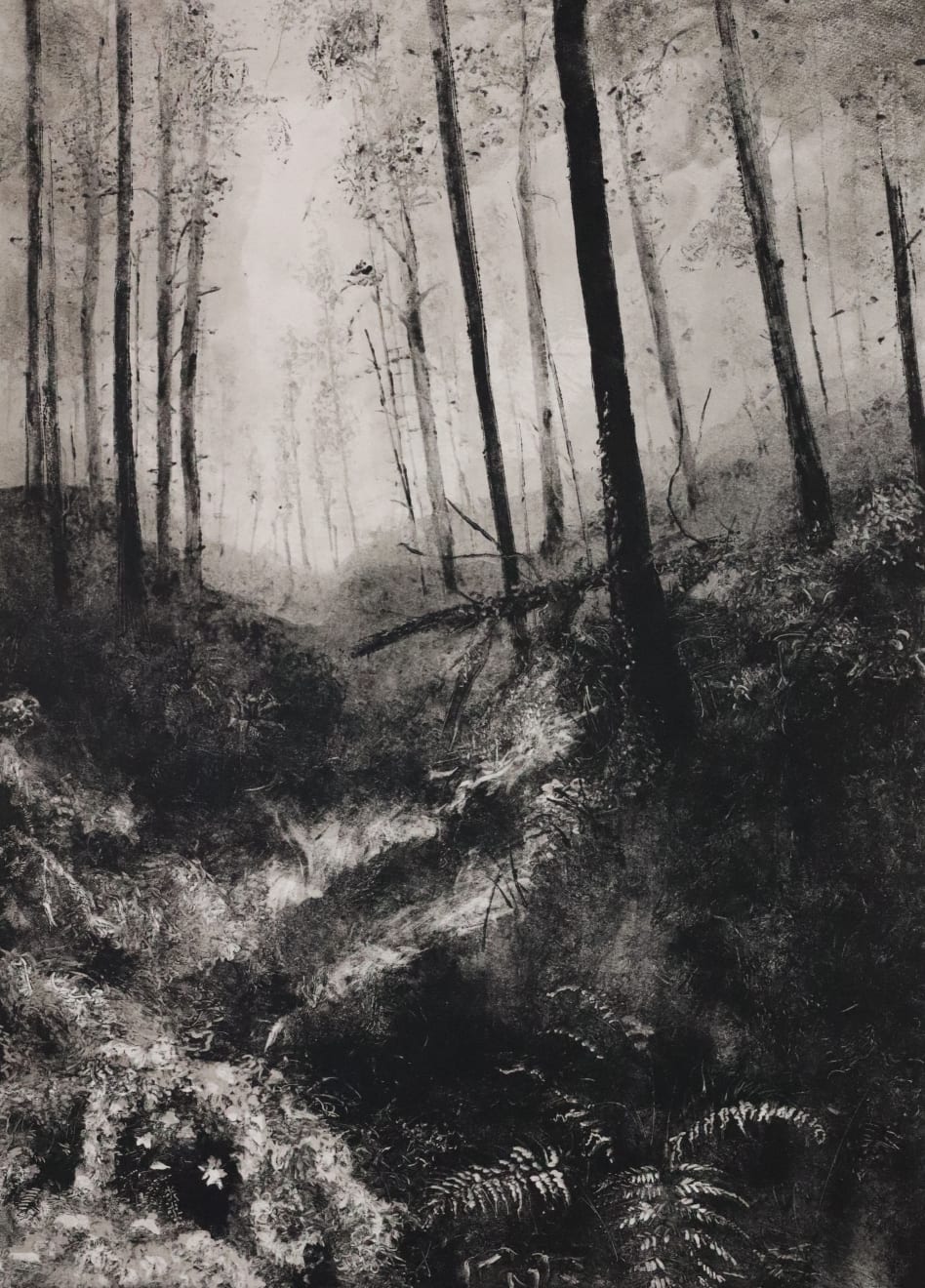 Fiona Fouhy, Where I Belong, 2025