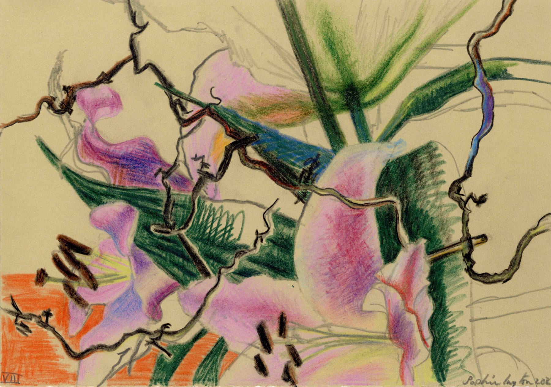 Sophie Layton, VIII, 2023