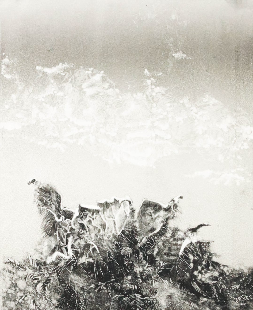 Fiona Fouhy, Uplifted, 2024