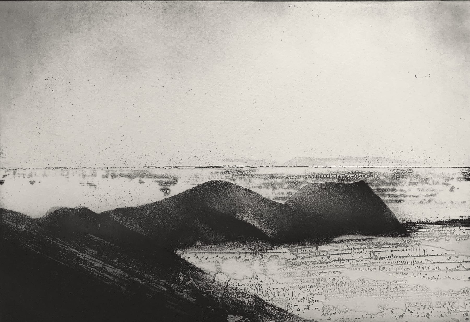 Jason Hicklin, Ynys Bery, Ramsey Island, 2021