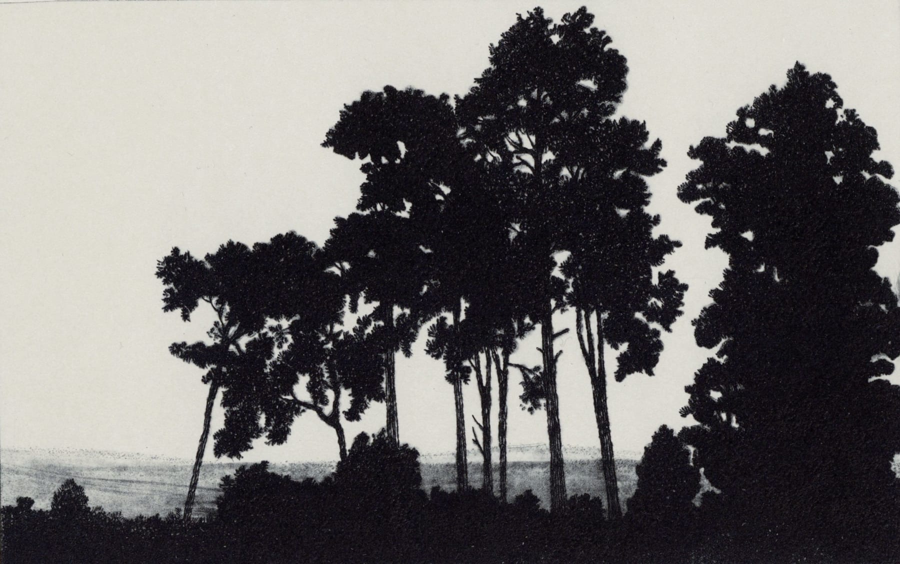 Blaze Cyan, Bourne Woods II, 2023