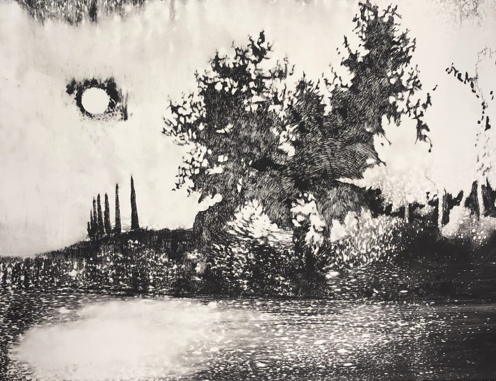 Edward Twohig, Super Moon 38, 2020