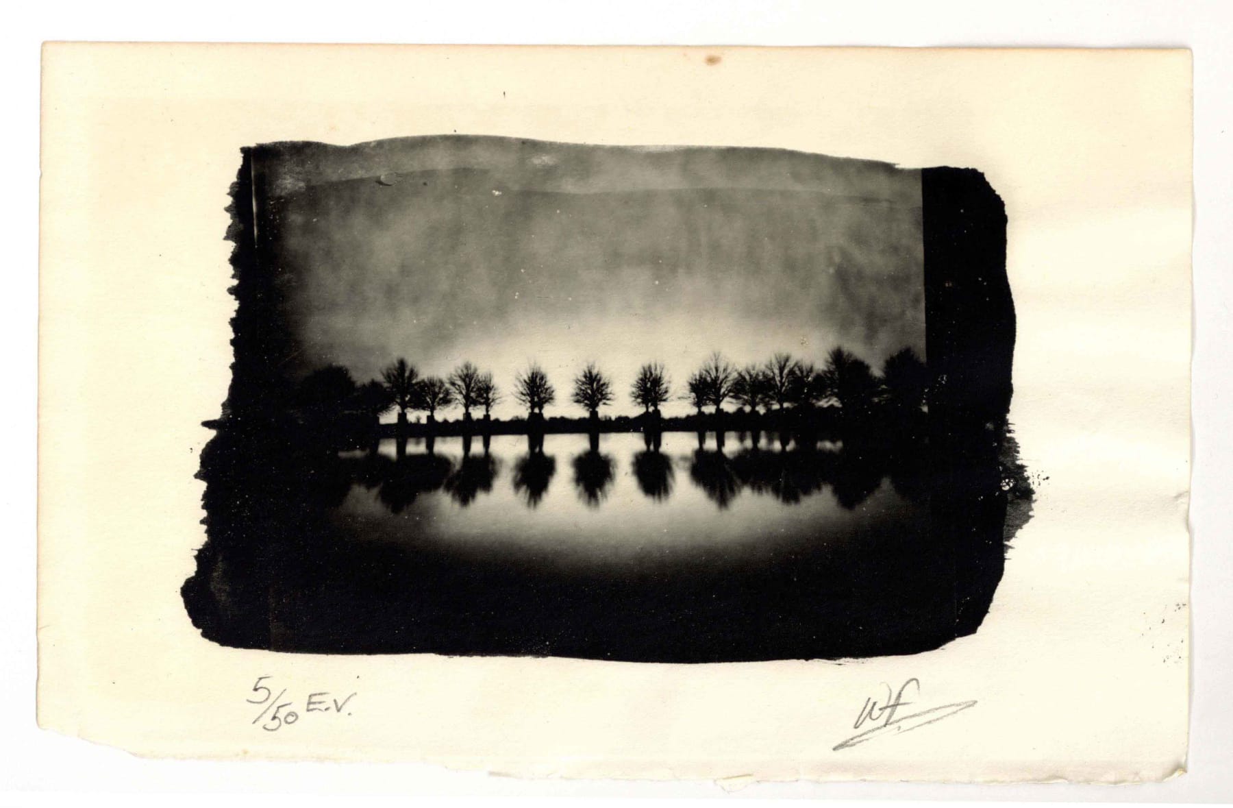 Wayne Foskett, Hampton Court Park, London