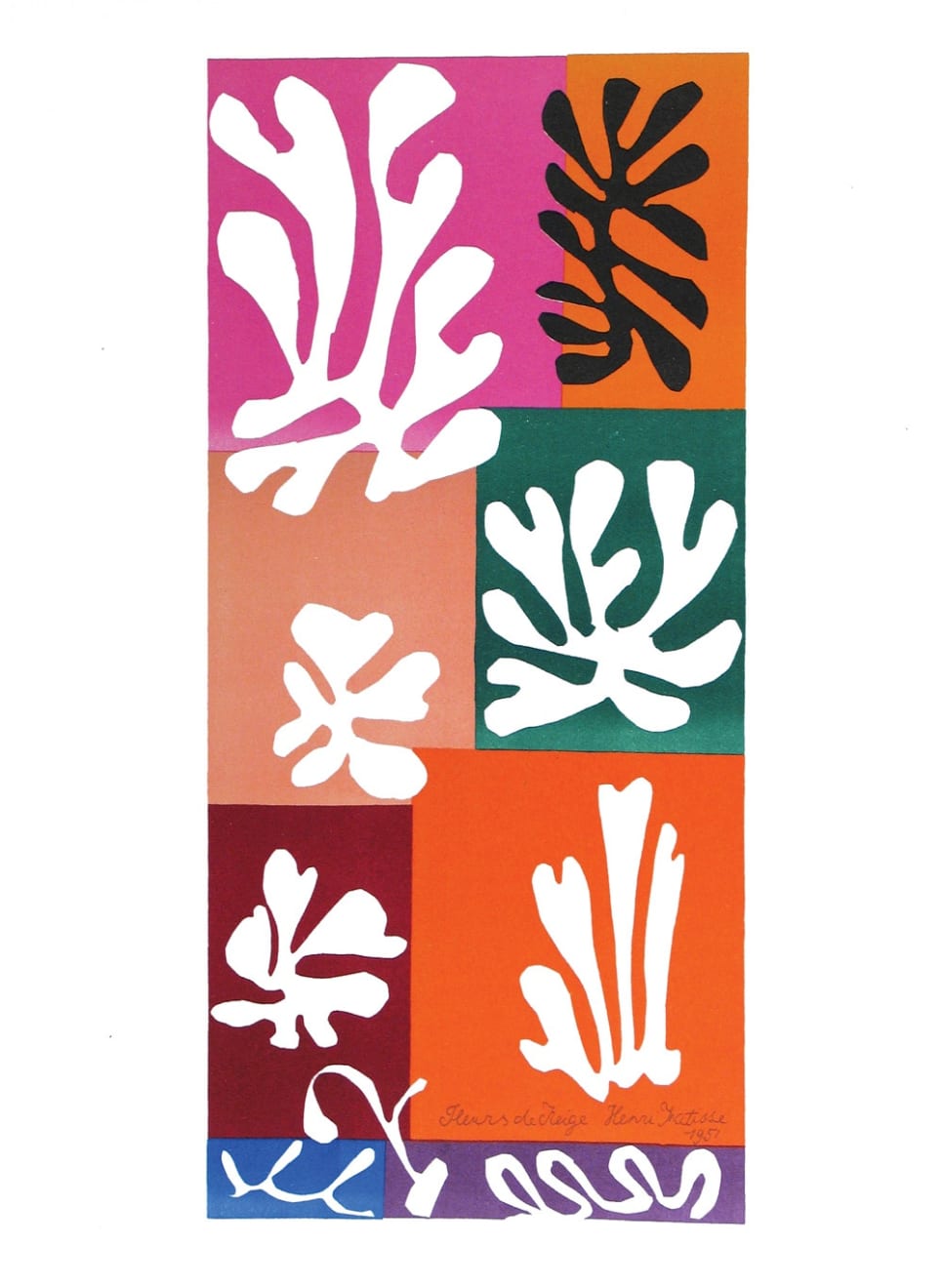 Henri Matisse, Fleurs de Neige, 1954