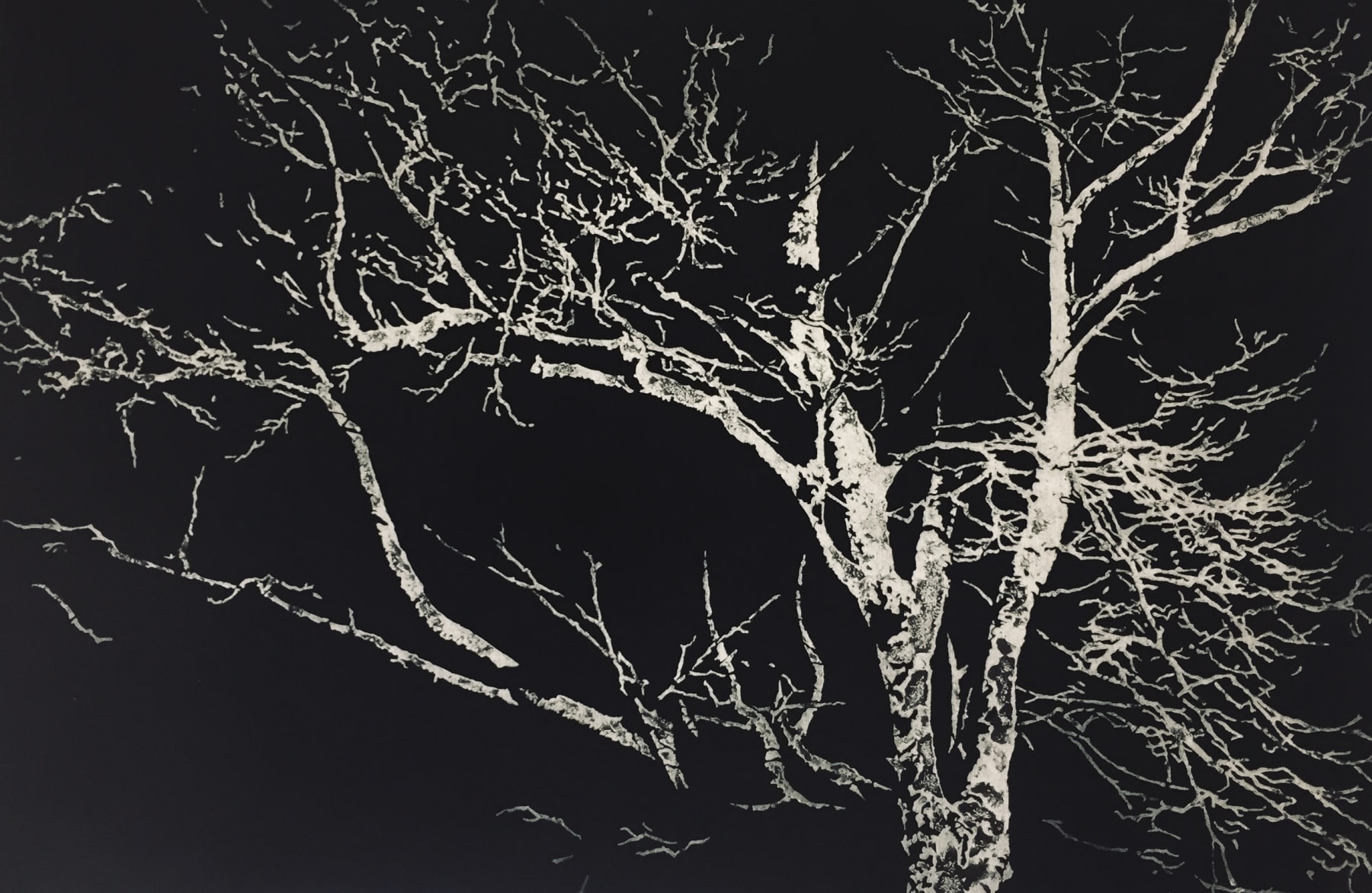 Blaze Cyan, Nocturne I, 2019