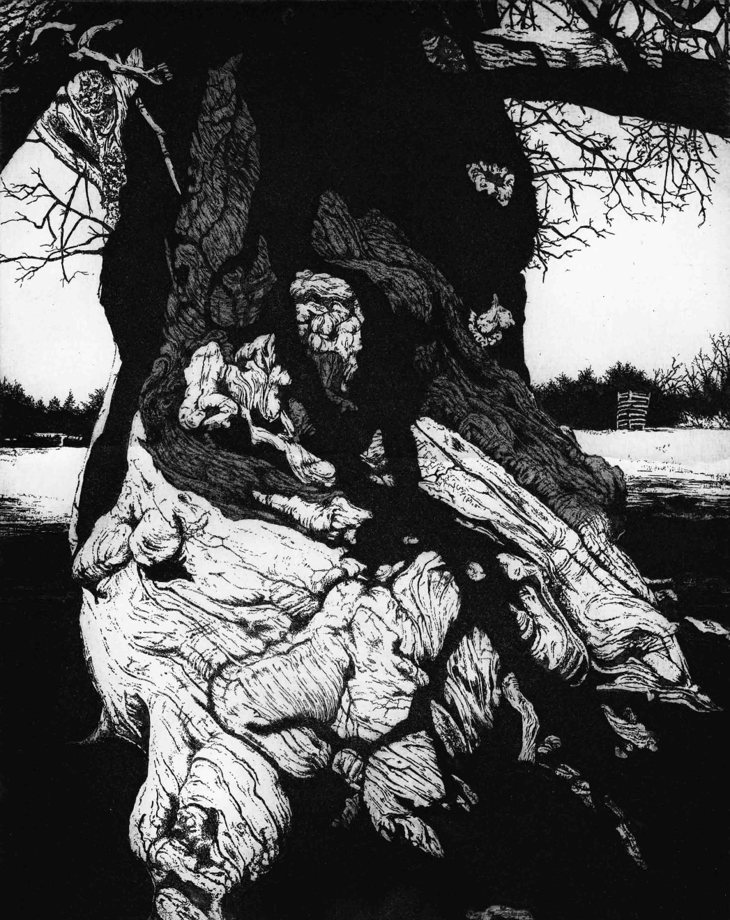 Blaze Cyan, Croft Castle II, 2017