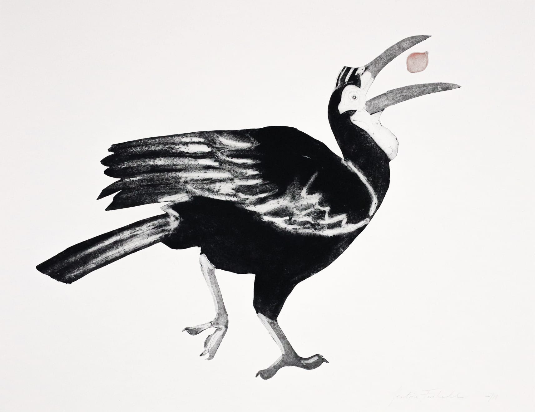 Beatrice Forshall, Ground Hornbill