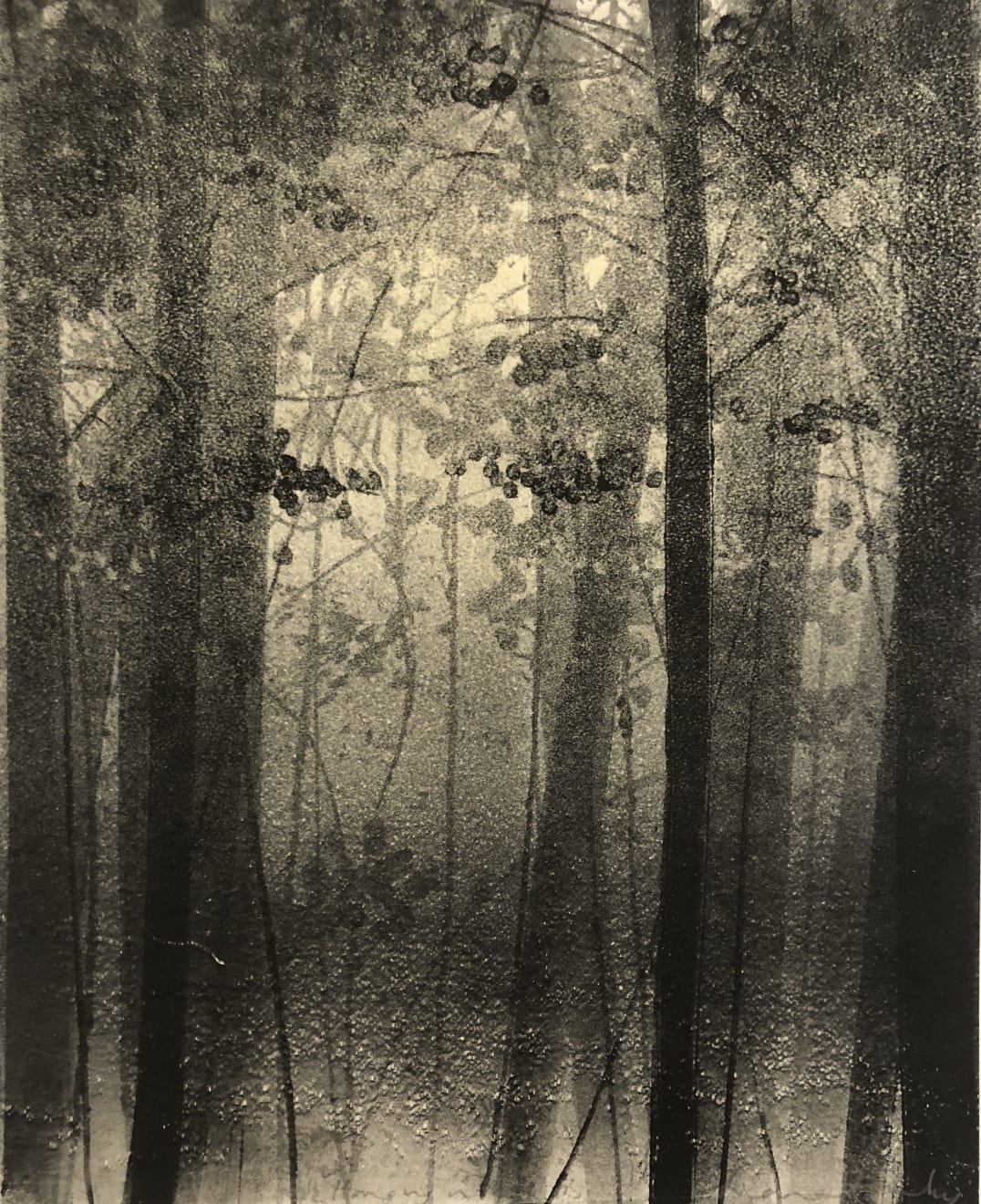 Fiona Fouhy, Hanging in There II, 2020