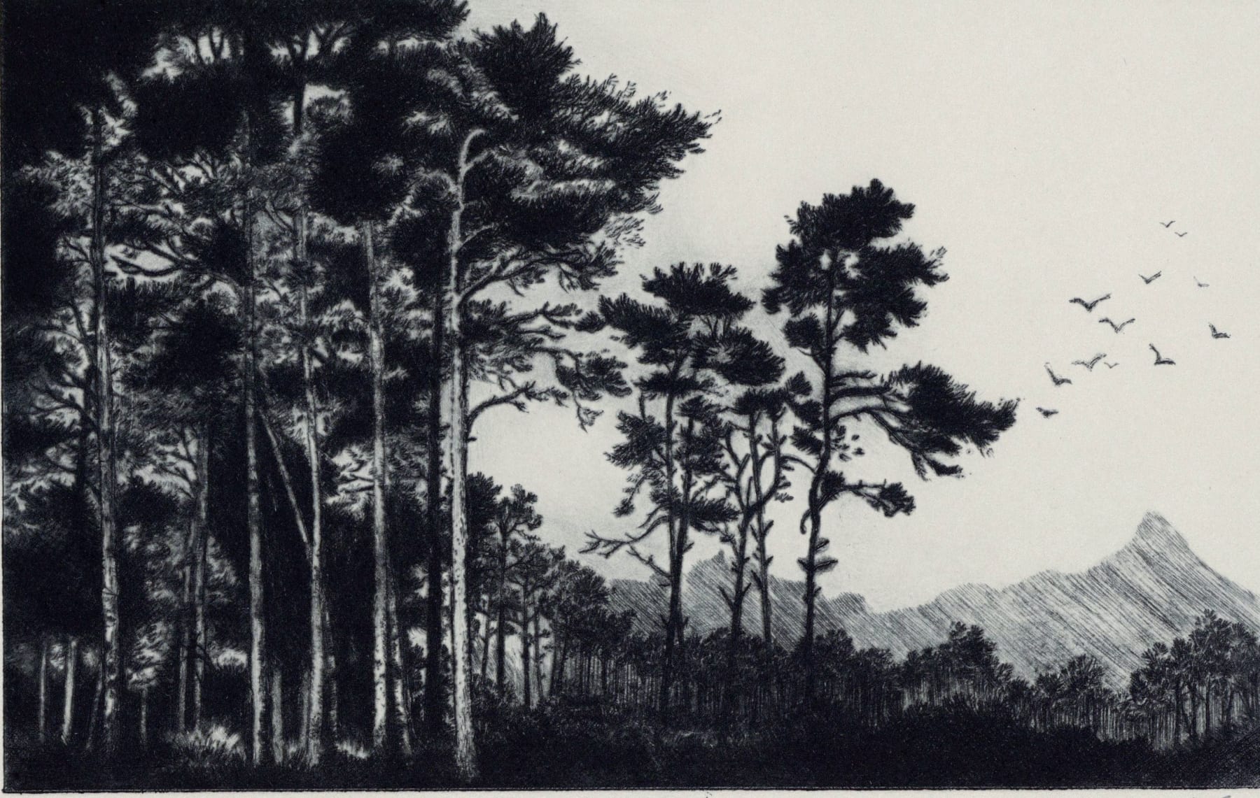 Blaze Cyan, Camber Sands, 2023