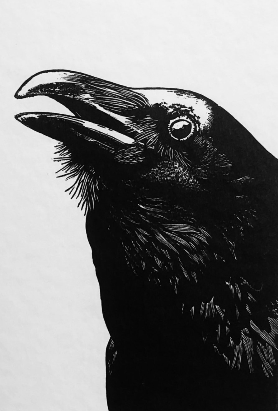 Christmas Secret Bid Auction 2025, LOT 60: Blaze Cyan - Quoth the Raven ‘Nevermore’, 2020