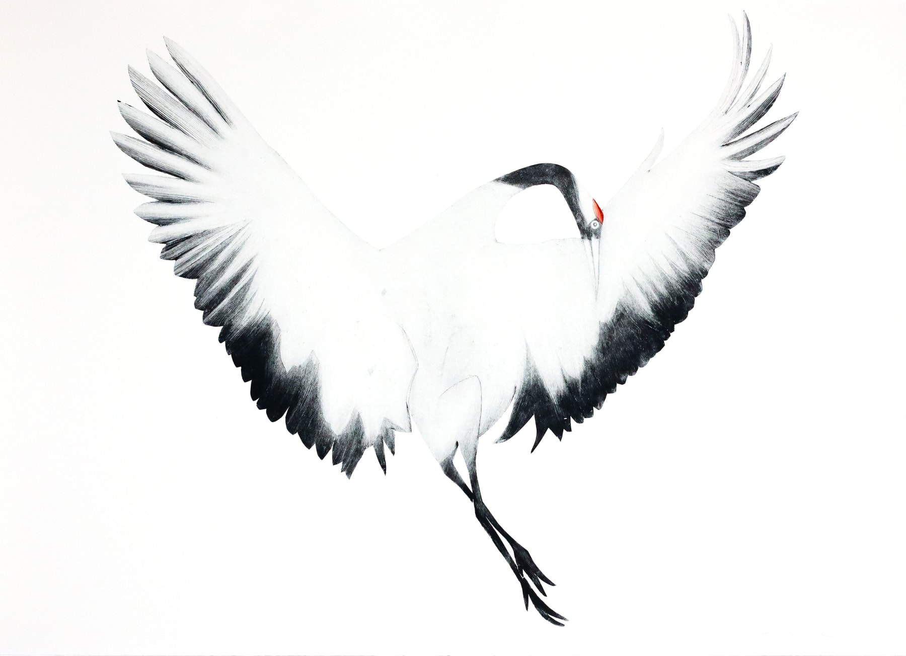Beatrice Forshall, Red-Crowned Crane